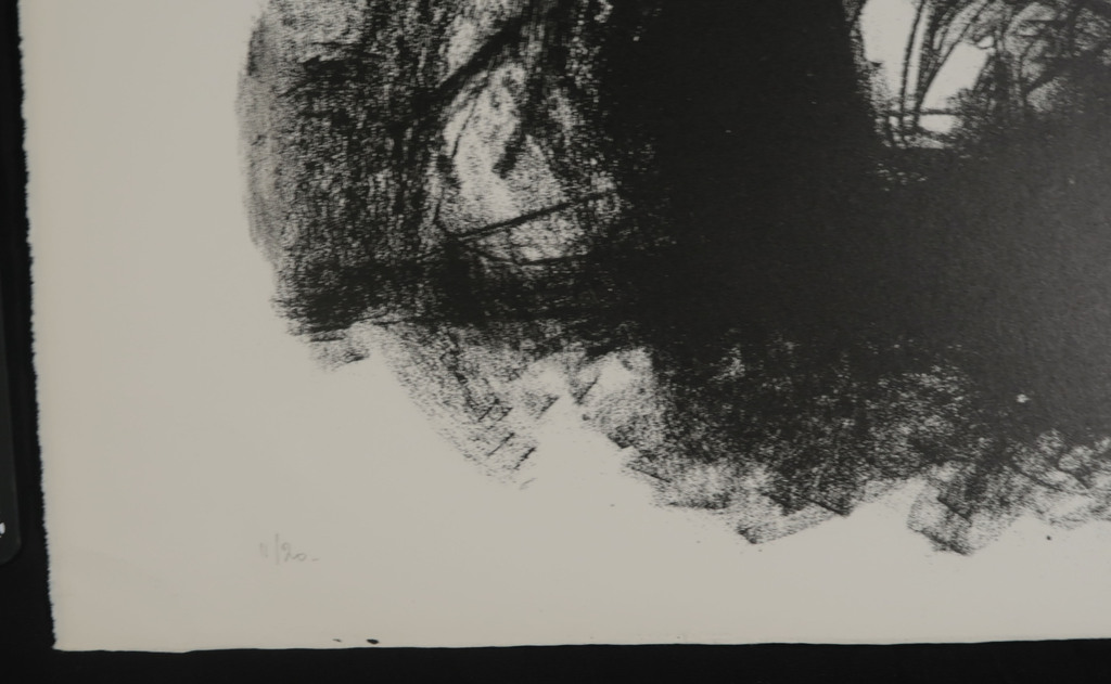 Jef Diederen: Litho, Z.T. zwart kopen? Bied vanaf 60!
