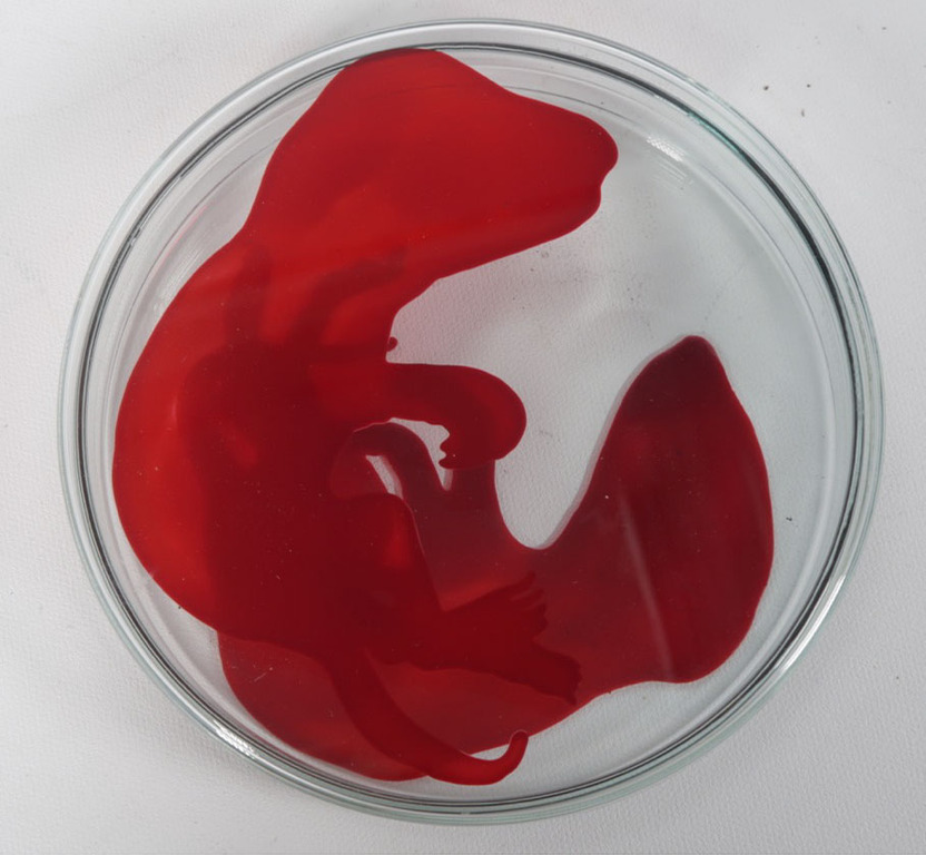 Lisette Verkerk: Beschilderd petrischaaltje, Origins II kopen? Bied vanaf 35!