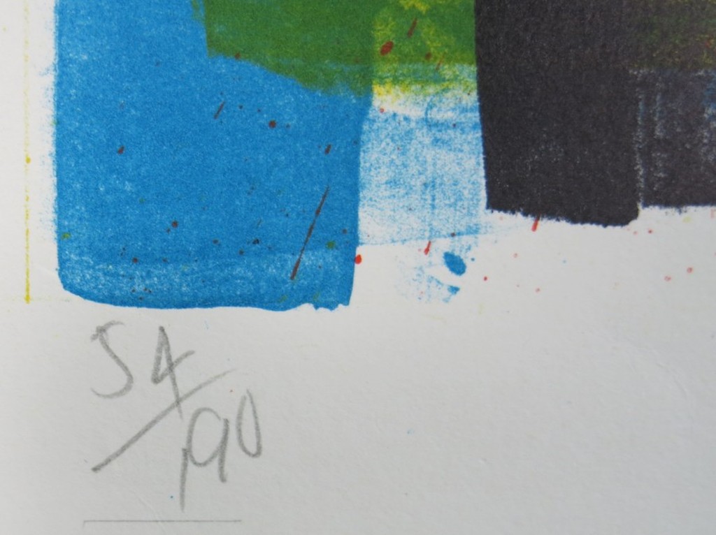 Sam Middleton: Kleurenlitho, Windswept kopen? Bied vanaf 50!