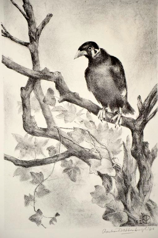 Aart van Dobbenburgh. -BEO-  Litho. Handgesigneerd. 1982. kopen? Bied vanaf 47!