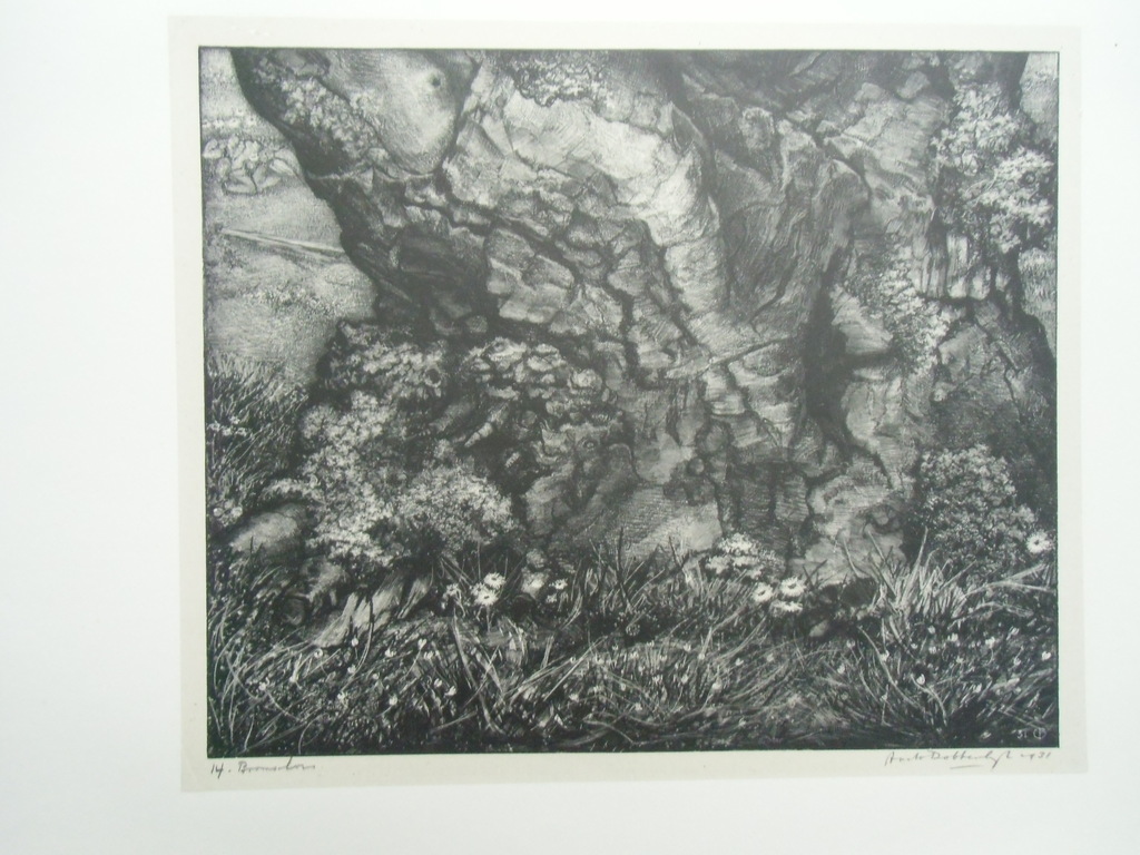 BOOMSCHORS   ///   LITHO VAN AART VAN DOBBENBURGH kopen? Bied vanaf 30!