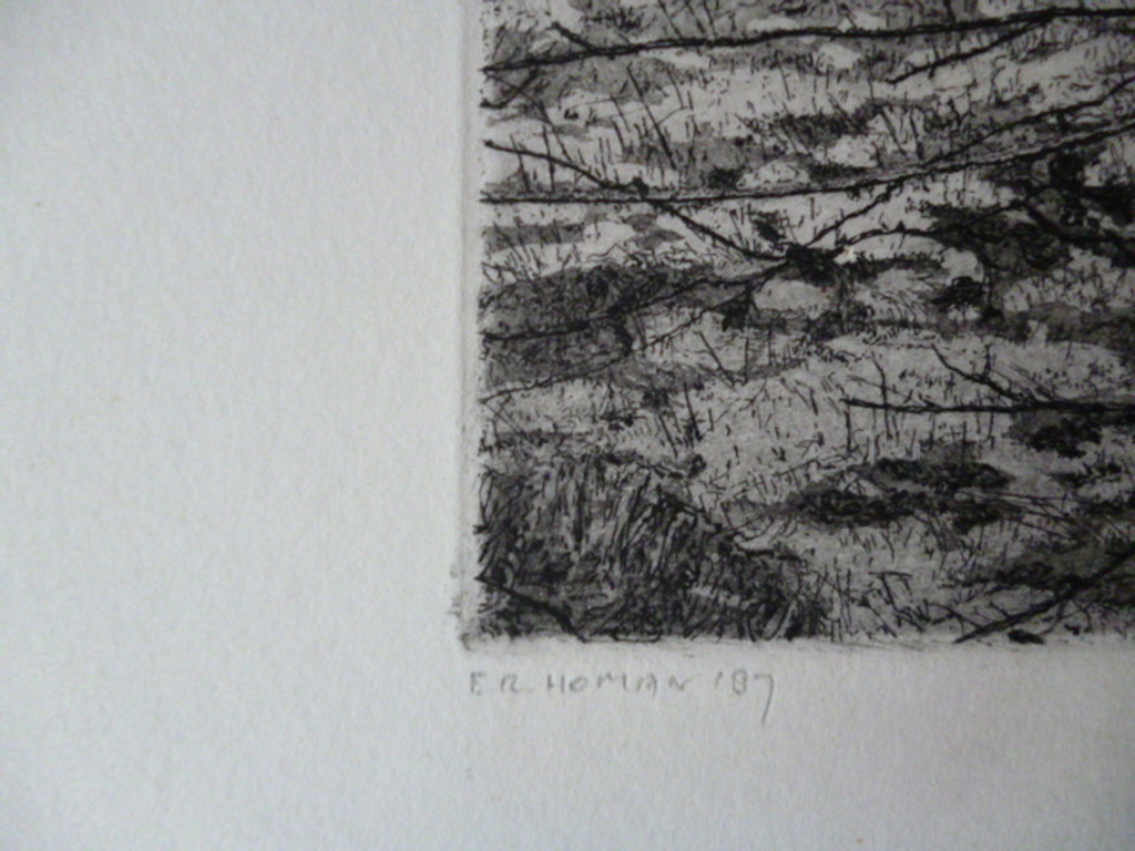 Reinder Homan - ets - Erf kopen? Bied vanaf 90!