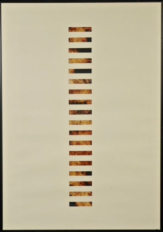 Niek Kemps: Foto en collage, Zonder titel - Ingelijst kopen? Bied vanaf 70!