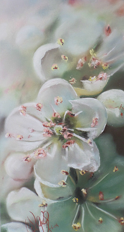 Bloemen, techniek onbekend (mooi ingelijst) kopen? Bied vanaf 1!