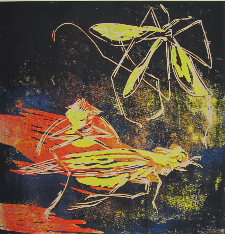 André Tigchelaar: Meerkleuren linosnede, insecten kopen? Bied vanaf 1!