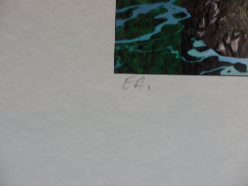 ARTURO   Zeefdruk  HET STENEN BOS  Handgesigneerd kopen? Bied vanaf 1!