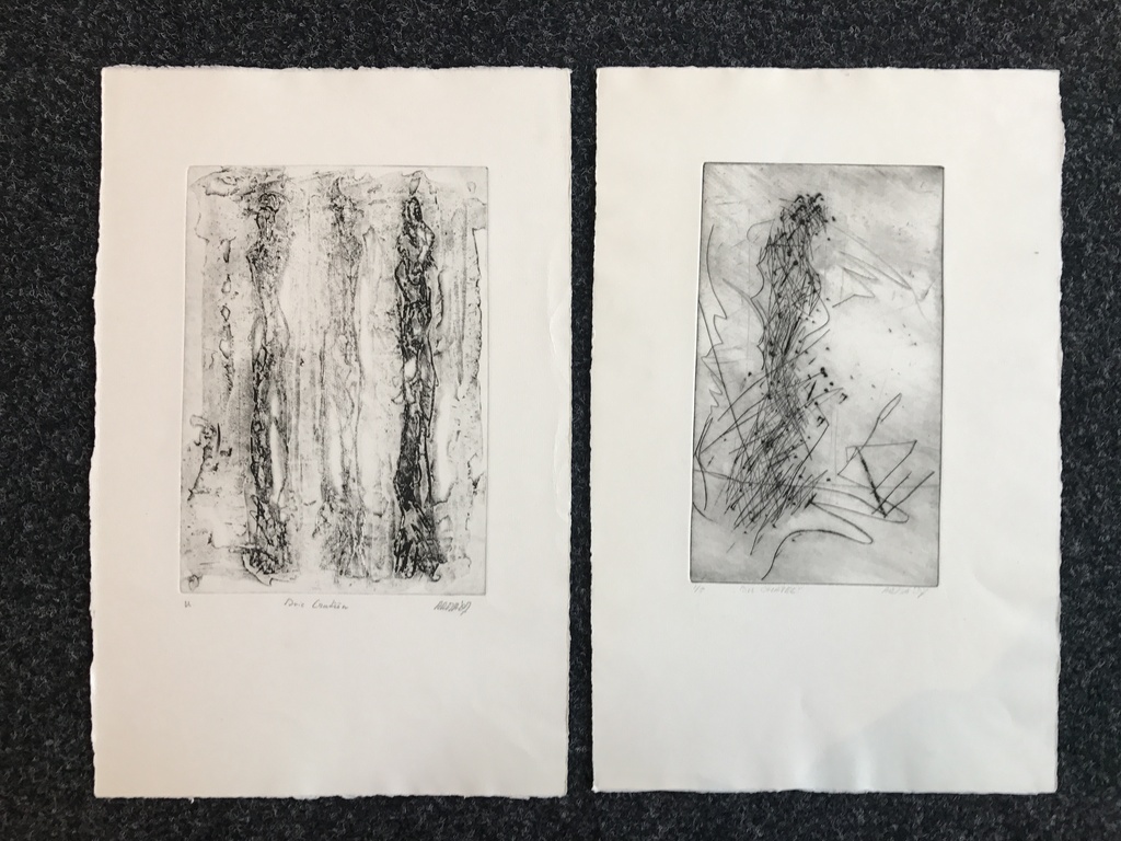  2 x Ad Arma  2 originele etsen. kopen? Bied vanaf 1!