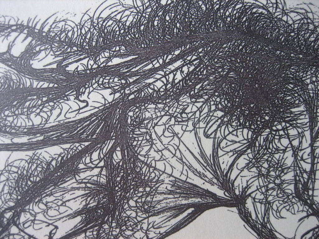 Salvador Dali - The Hairy Hand - Lithografie - Oplage 2500 ex. - 1944 kopen? Bied vanaf 1!