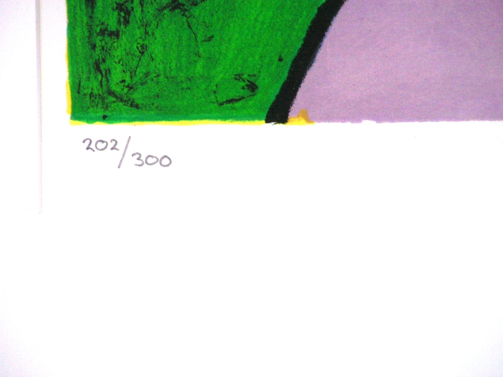 Corneille - dames met vogel en kat - litho kopen? Bied vanaf 200!