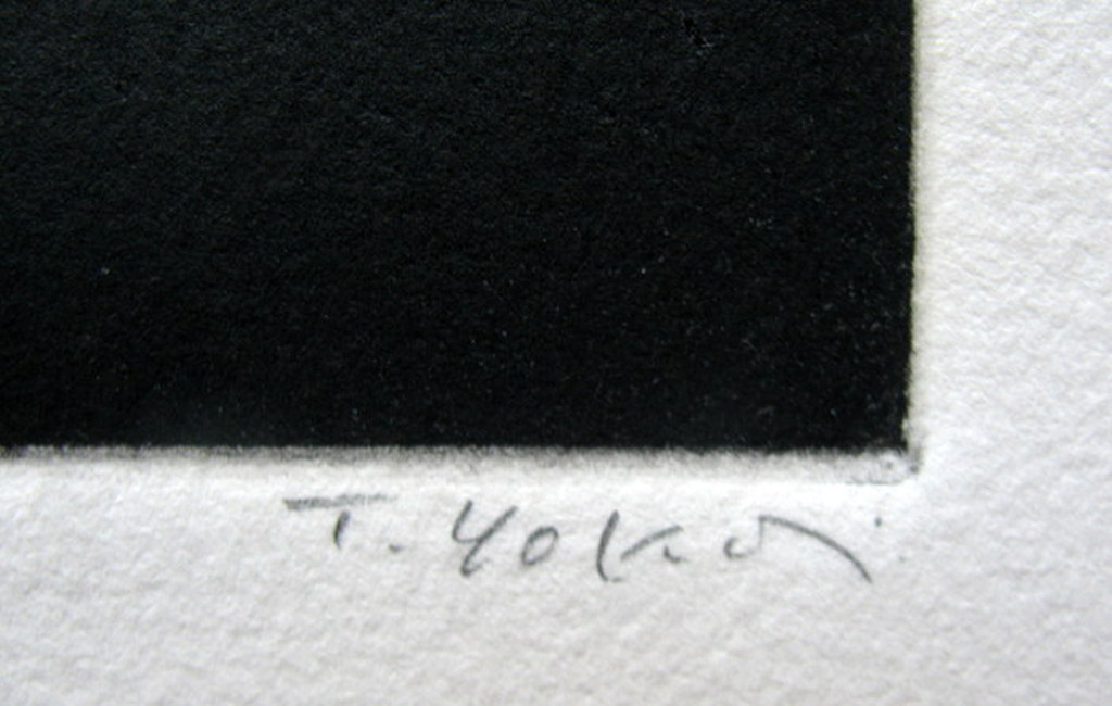 Tomoe Yokoi, "Kaki", mezzotint kopen? Bied vanaf 100!