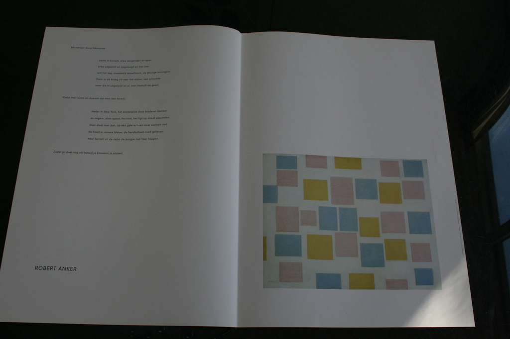 ,Portfolio,Verschoven van het licht tot in de mist,16 dichters over Mondriaan kopen? Bied vanaf 25!