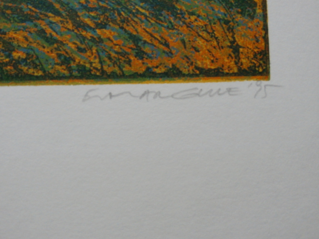 Elmar Gille - ets: oktober - 1995 kopen? Bied vanaf 69!