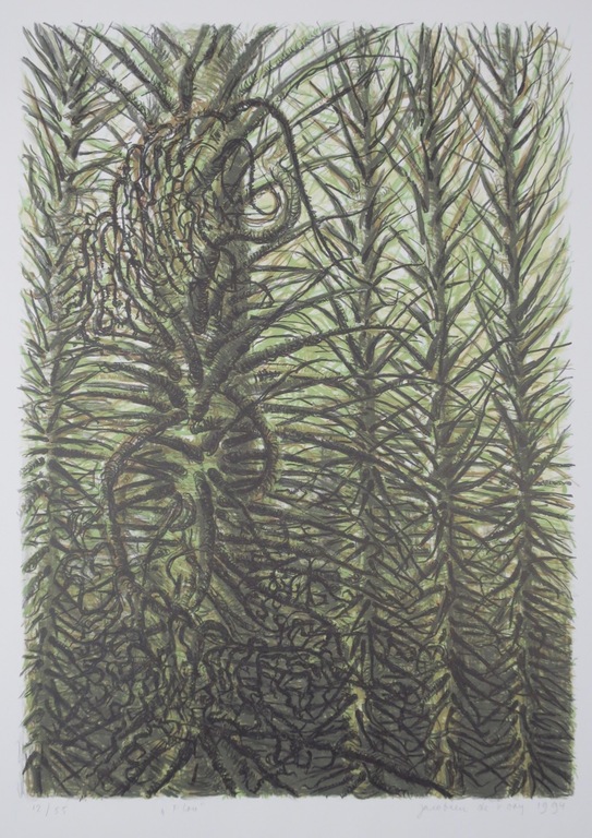 Jacobien de Rooij: Litho, Flou kopen? Bied vanaf 1!