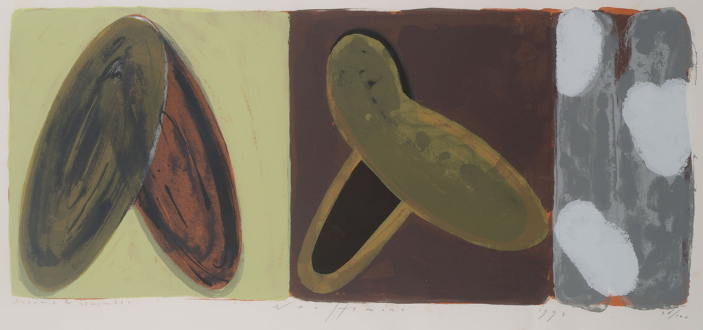 Piet Warffemius: Litho, Dreams to remember - Ingelijst kopen? Bied vanaf 1!