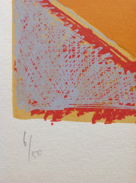 Aldrik Salverda, zeefdruk ('88) z.t. kopen? Bied vanaf 20!