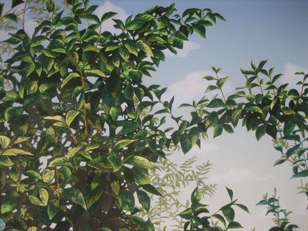 Rolf Schröder-Borm - Gebüsch - Lithografie - handgesigneerd - Oplage: 500 - 1974 kopen? Bied vanaf 1!