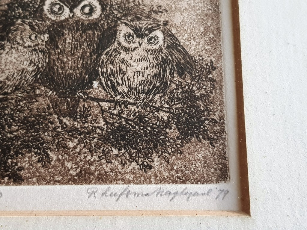 Rini Leefsma-Nagtegaal - Rini Leefsma-Nagtegaal - Uilen - Gesigneerde ets kopen? Bied vanaf 30!