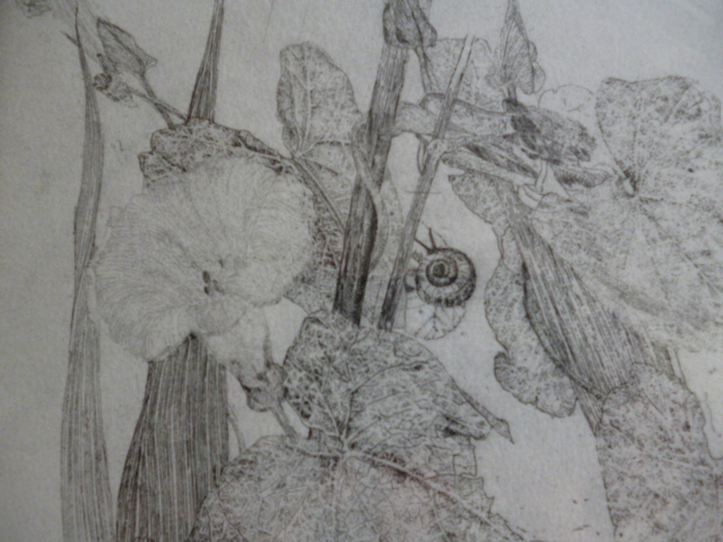 Charles Donker - ets - Slakje kopen? Bied vanaf 125!