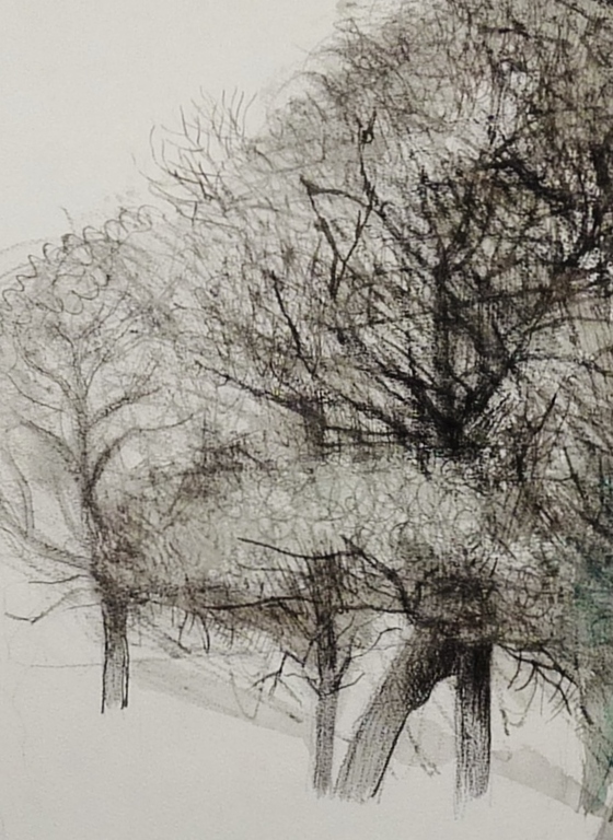 Kees Franse - bomen - gemengde techniek - gesigneerd kopen? Bied vanaf 100!