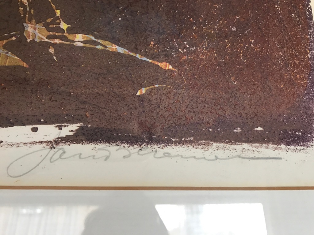 Jan Bezemer, kleurenlitho, vogel kopen? Bied vanaf 50!