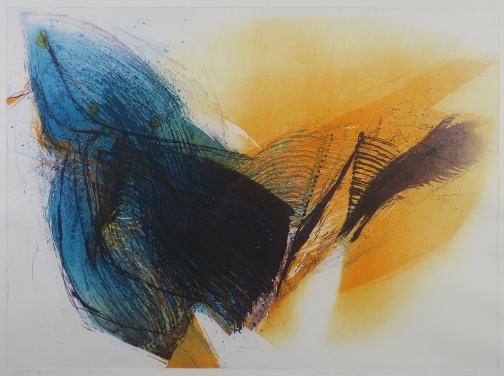 Hans Vredegoor: Ets en Aquatint, Battle of Eden - Ingelijst kopen? Bied vanaf 40!