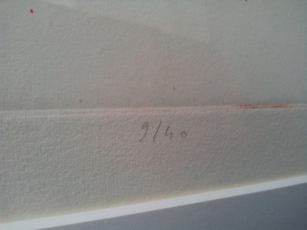 Hans Vredegoor Gesigneerde Ets Het Voorgevoel Ingelijst Oplage 40 ex. kopen? Bied vanaf 1!