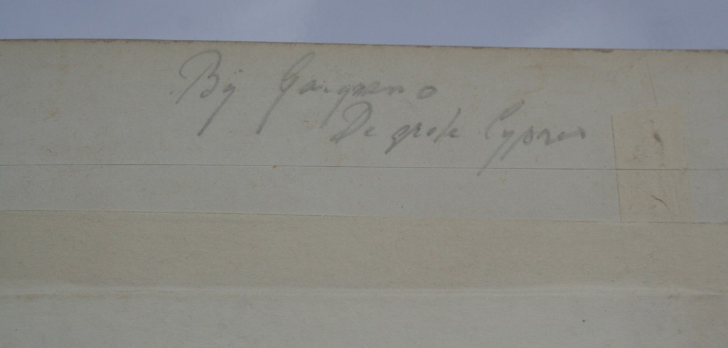 Jaap van Veen, grote aquarel, bij Gargnano, de grote cyprus kopen? Bied vanaf 35!