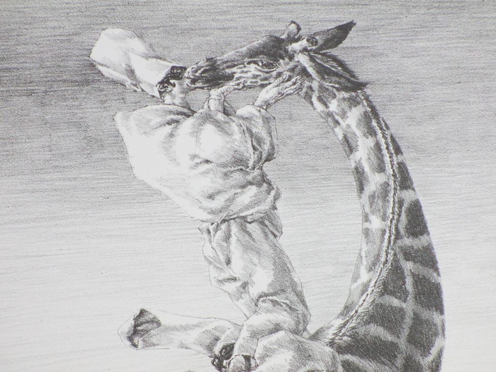 Peter Vos, Gevoelens, Litho kopen? Bied vanaf 120!