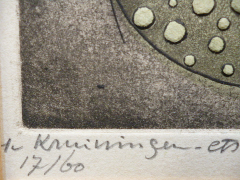 Harry van Kruiningen - kleurenets - Copulatie kopen? Bied vanaf 50!