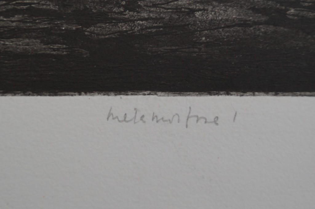 Naan Rijks - gesigneerde ets - metamorfose I kopen? Bied vanaf 20!