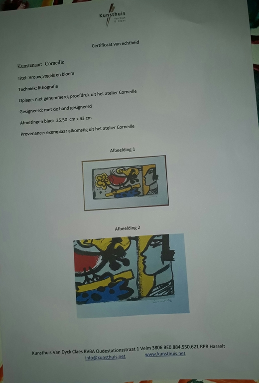 Corneille Lithografie - Vrouw/Vogel/Bloem kopen? Bied vanaf 1!