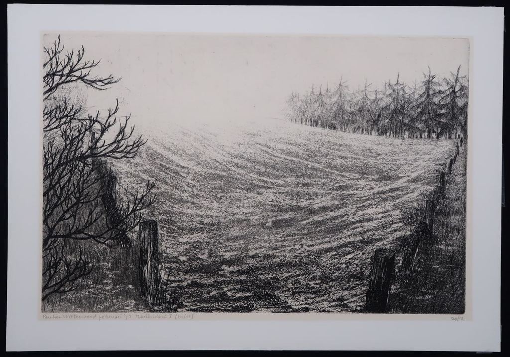 Paulien Wittenrood: Ets, Mariendaal I (Mist) kopen? Bied vanaf 20!