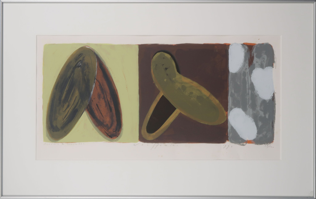 Piet Warffemius: Litho, Dreams to remember - Ingelijst verkocht voor € 40!