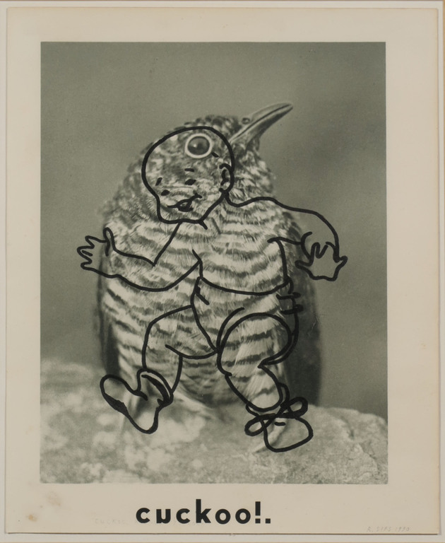Roland Sips: Stifttekening op afbeelding, Cuckoo - Ingelijst kopen? Bied vanaf 20!