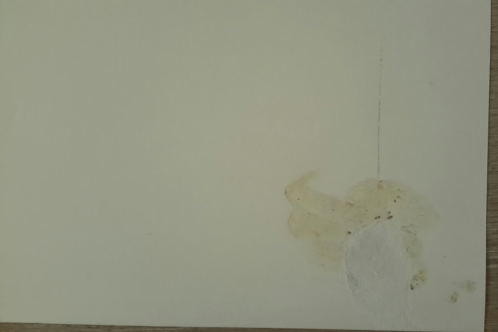 Robert Terwindt, zeefdruk  kopen? Bied vanaf 25!