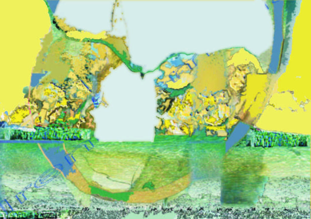 irene sminia * kaaseiland * digitale grafiek kopen? Bied vanaf 49!