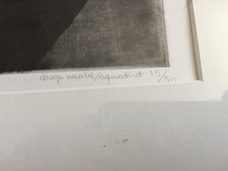 Julia Olivier droge naald ETS   Amsterdam gracht kopen? Bied vanaf 29!