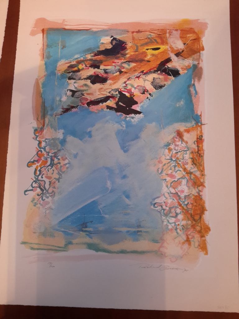 Hollandse landschappen kopen? Bied vanaf 1!