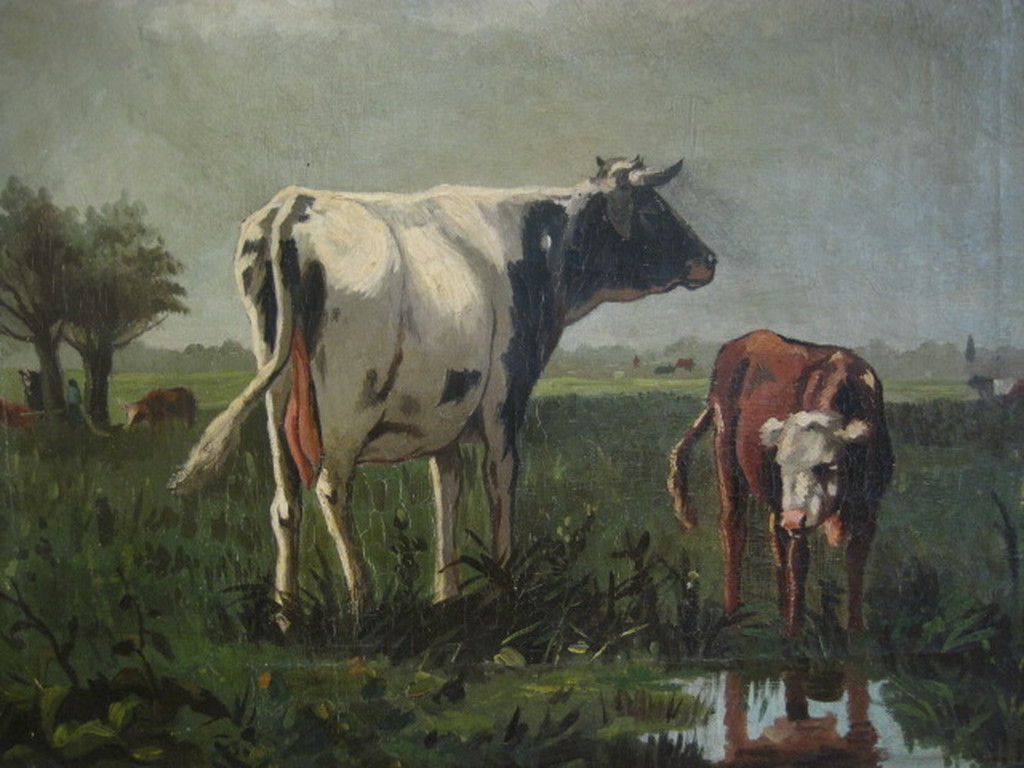 omstreeks 1900 olieverf/doek "koeien aan waterkant" met signatuur verkocht voor € 85!