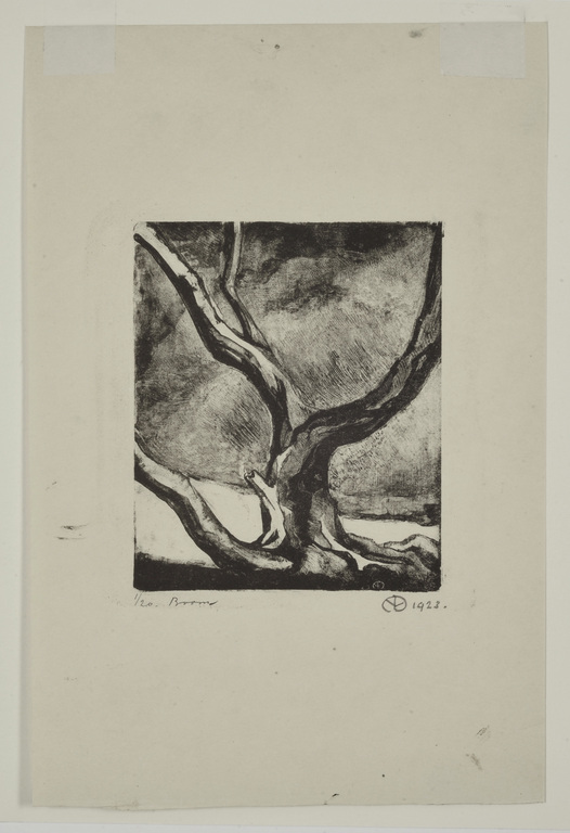 Aart van Dobbenburgh: Litho - Boom kopen? Bied vanaf 35!