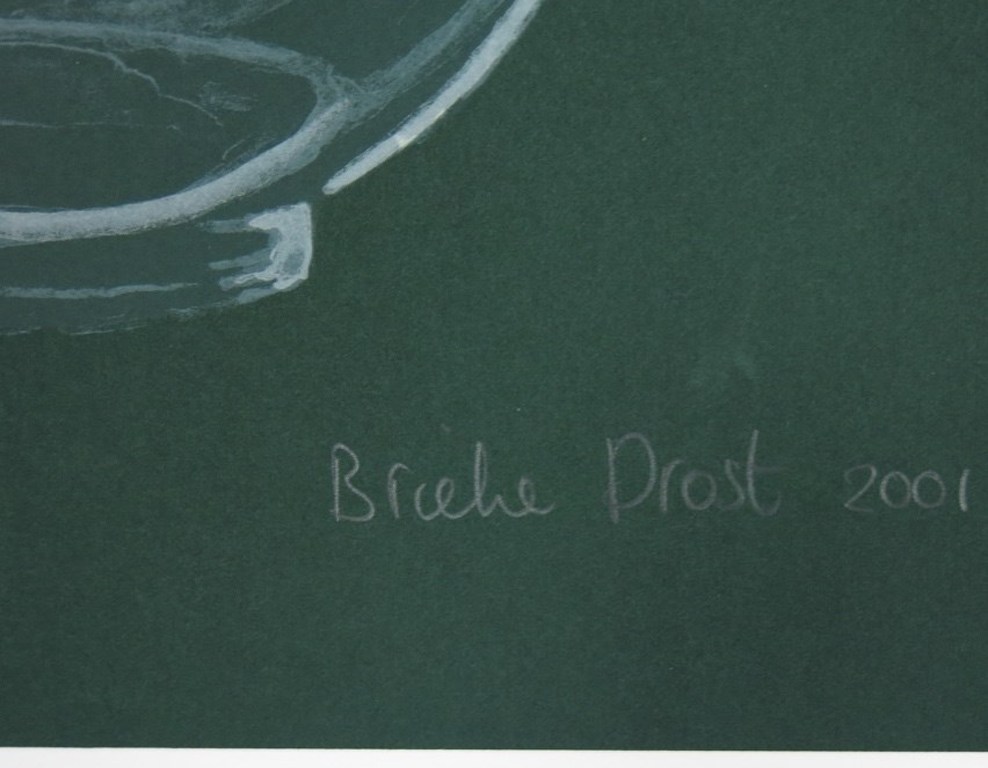 Brieke Drost: Zeefdruk, Flesje (paarse dop) kopen? Bied vanaf 1!