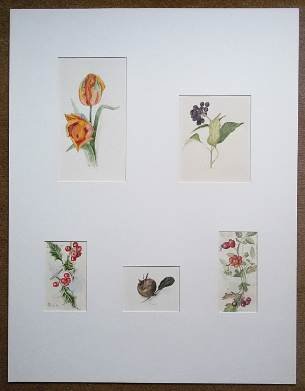 J. Paris - Bloemen en vruchten, 5x gemengde techniek (in passe-partout) kopen? Bied vanaf 40!
