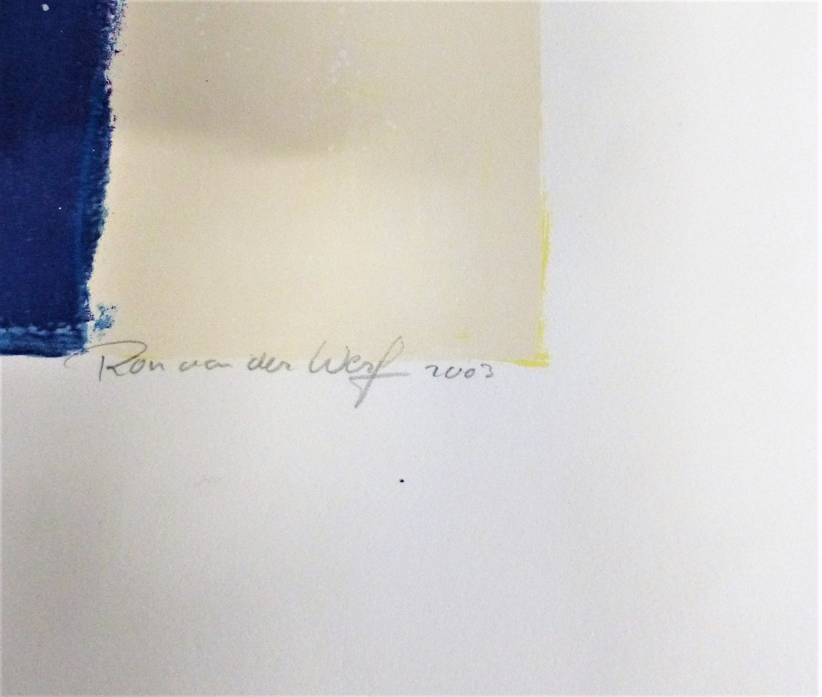 Ron v/d Werf,Zeefdruk op papier met zwelinkt, Mysterie1,Handgesigneerd kopen? Bied vanaf 50!