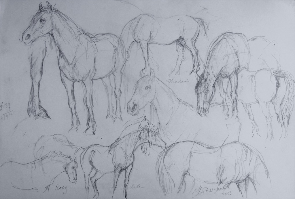 Heather Jansch: potlood op papier 'Shadow' (formaat A3) kopen? Bied vanaf 75!