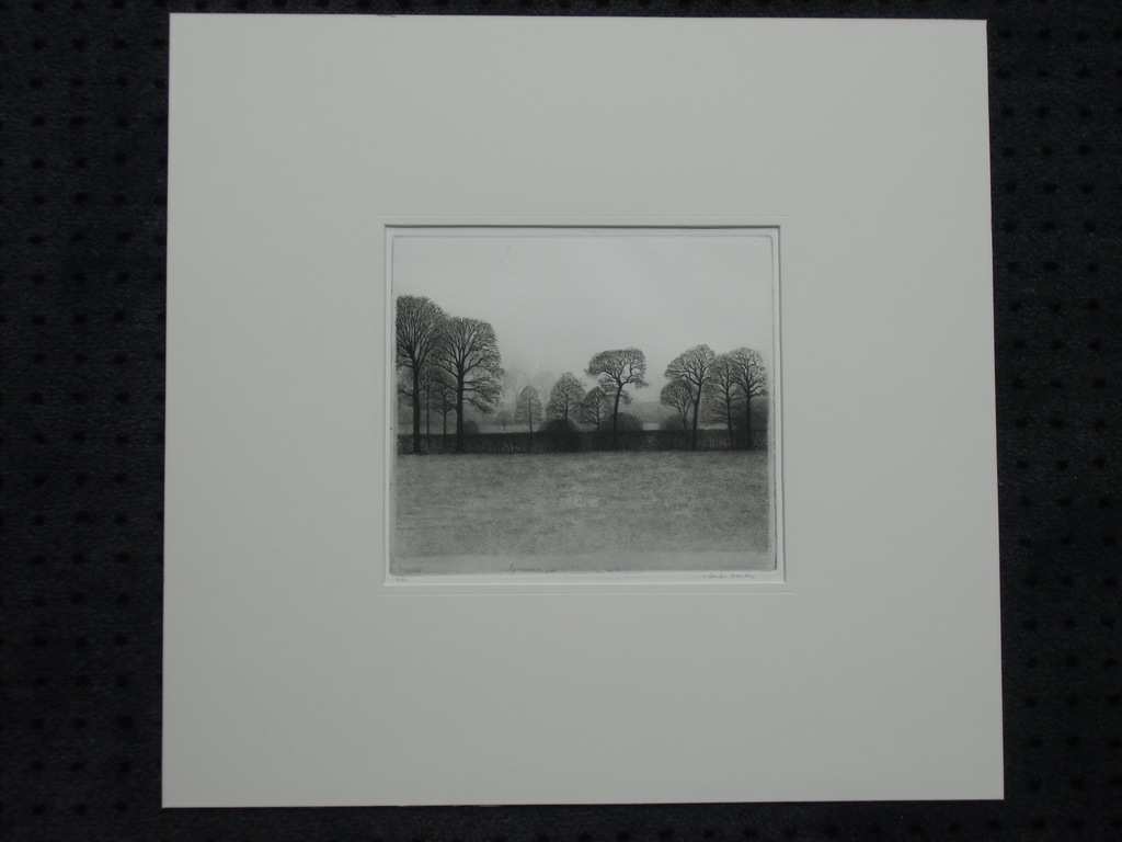 RHIJNAUWEN  //  ETS VAN CHARLES DONKER verkocht voor € 185!