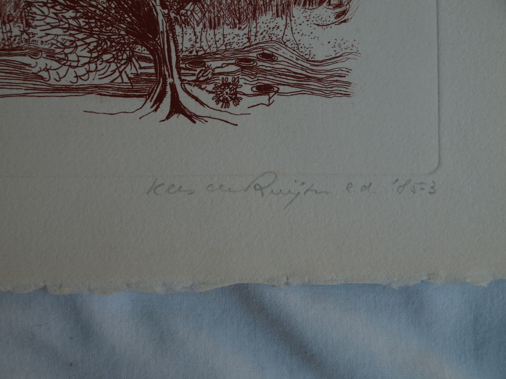 Kees de Ruijter : Ets , Bloeiende tak – gesigneerd - 1985 kopen? Bied vanaf 1!