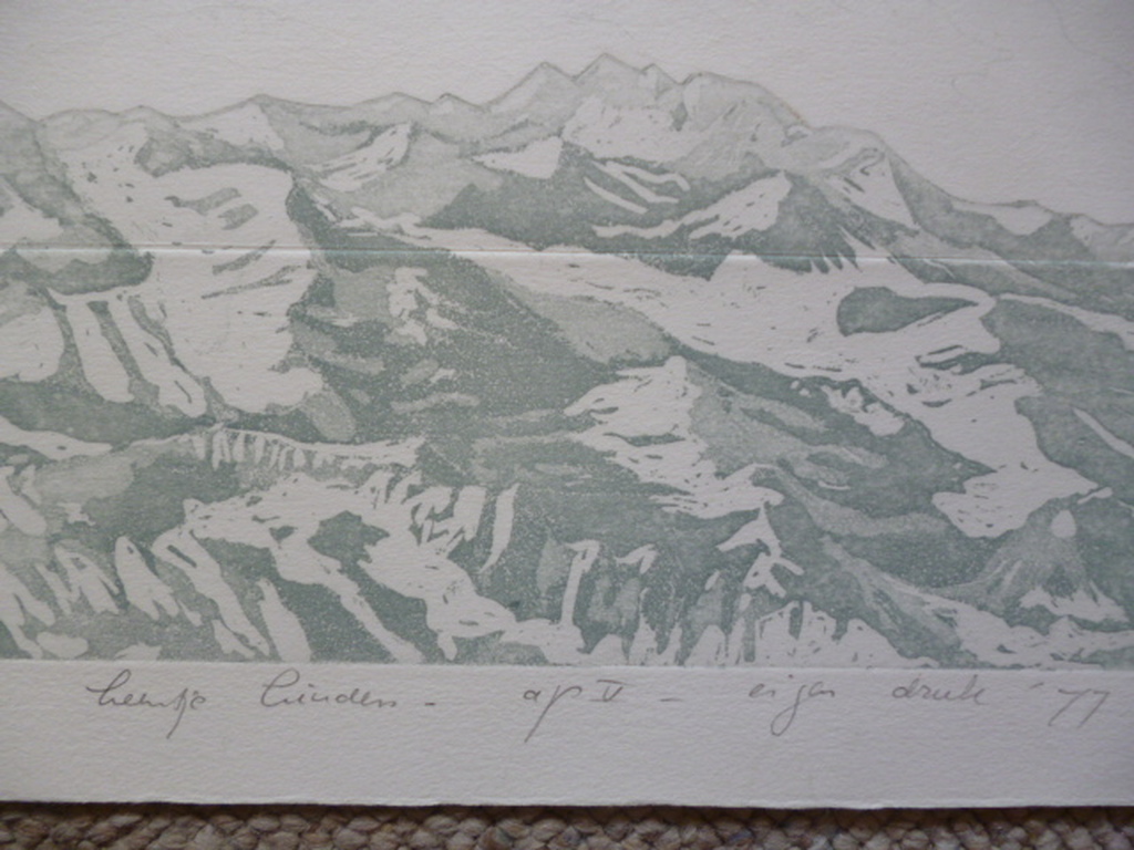 Leentje Linders - kleurenets - "Falling to earth part five"  kopen? Bied vanaf 40!