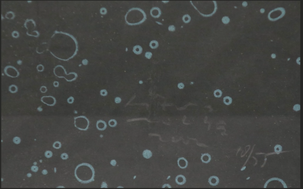 Titus Nolte: Zeefdruk, Zonder titel (groen) -Ingelijst kopen? Bied vanaf 1!