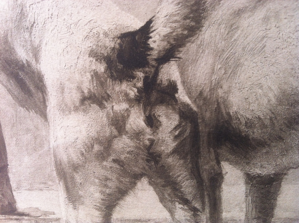 Maud Earl: Ets, A Masked Fox kopen? Bied vanaf 100!