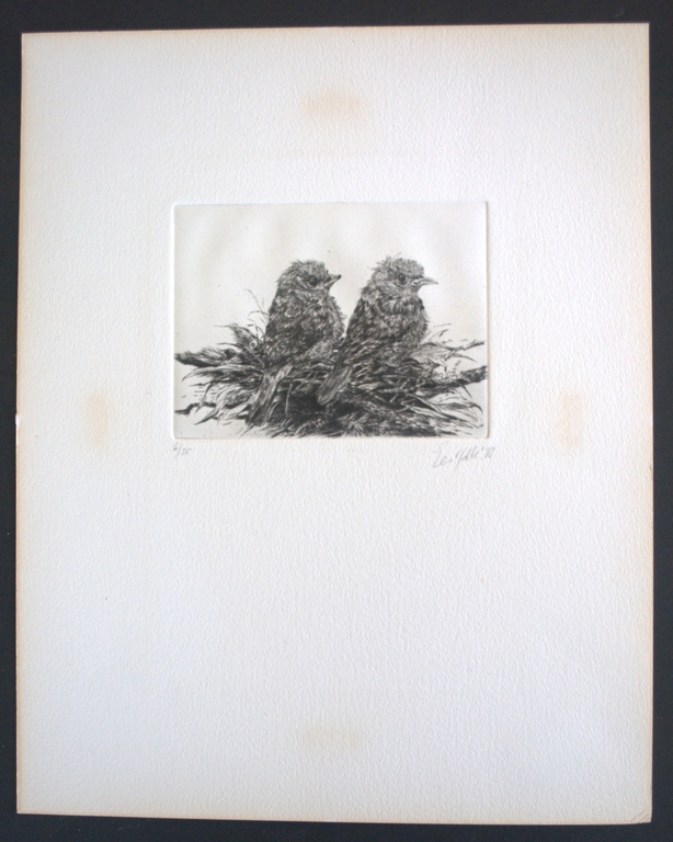 Jonge vogels op een nest - ets - oplage 35 kopen? Bied vanaf 20!